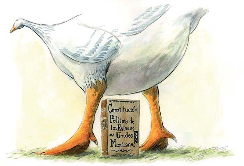 Y mi palabra es la ley