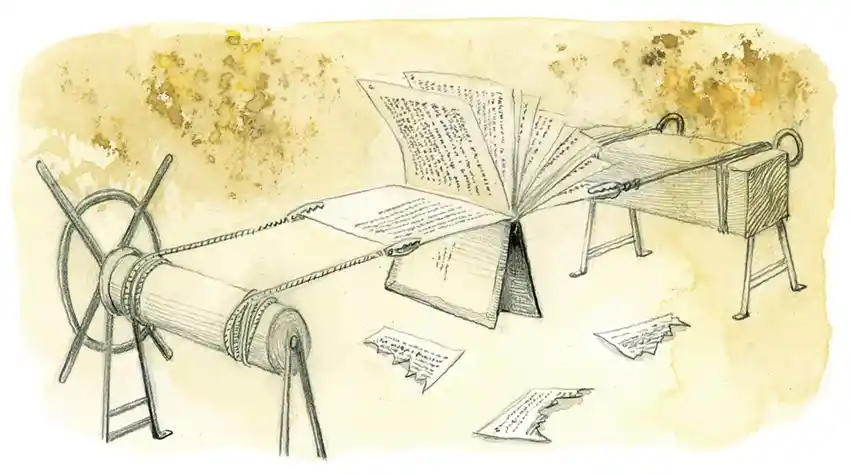 La correcta lectura de las normas